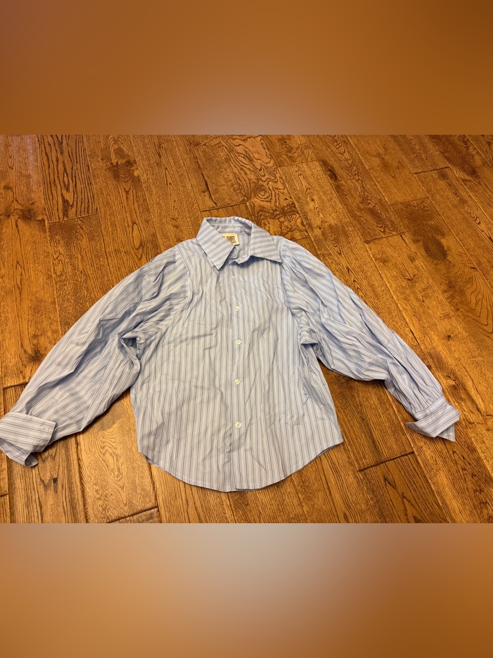 Like new A SHIRT THING striped cotton shirt smoke pet free tag size is P (xs)